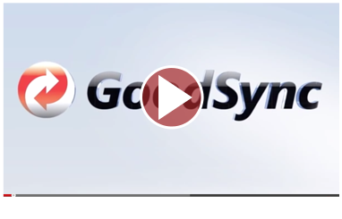 GoodSync